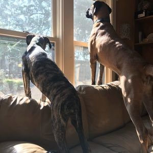 Meet your Posher, Paige